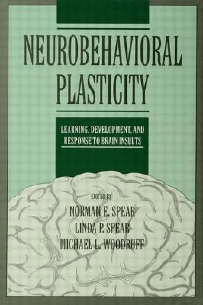 Neurobehavioral Plasticity