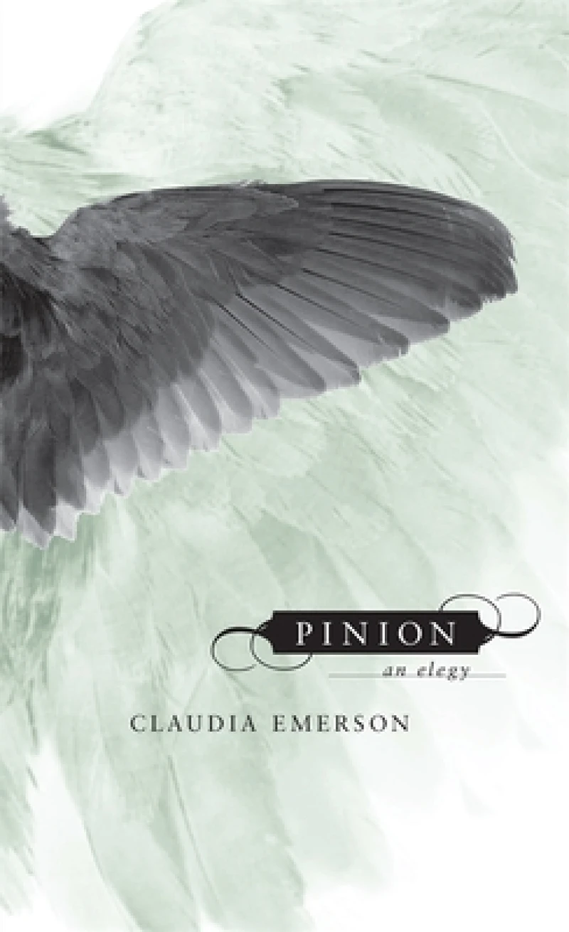 Pinion