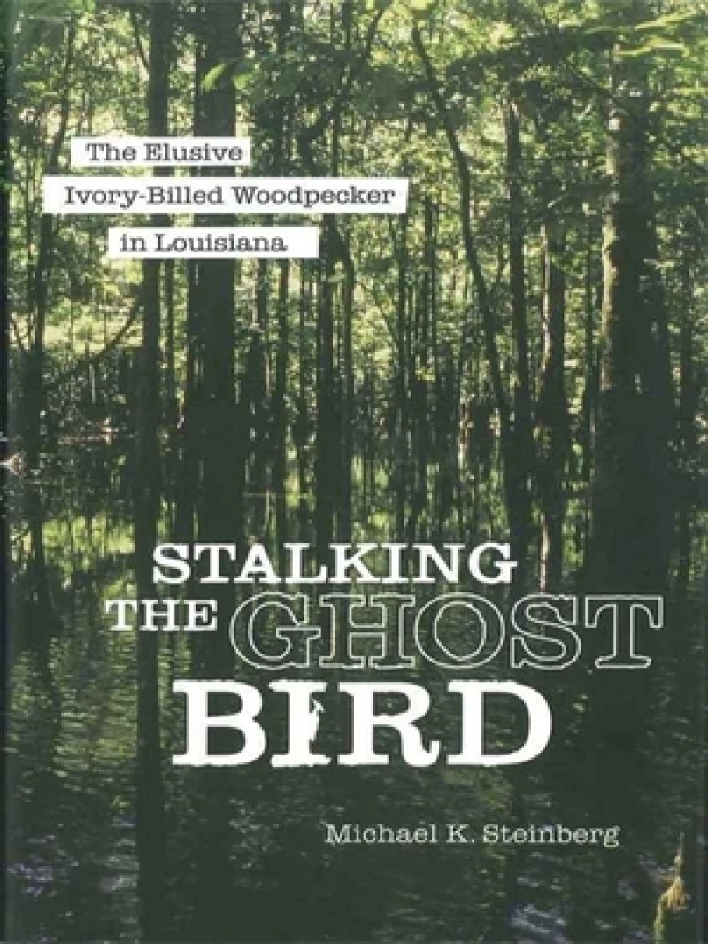 Stalking the Ghost Bird
