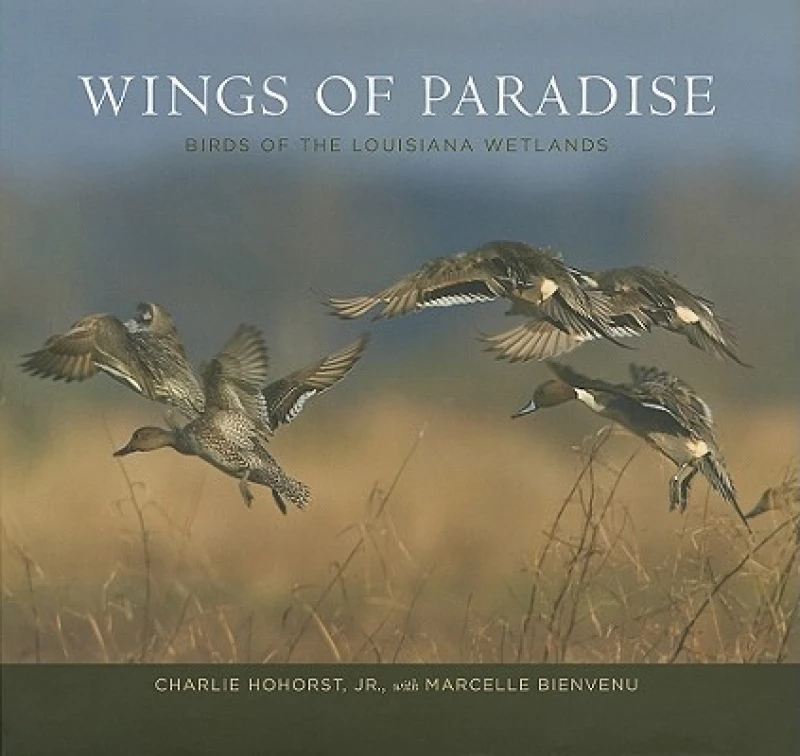 Wings of Paradise