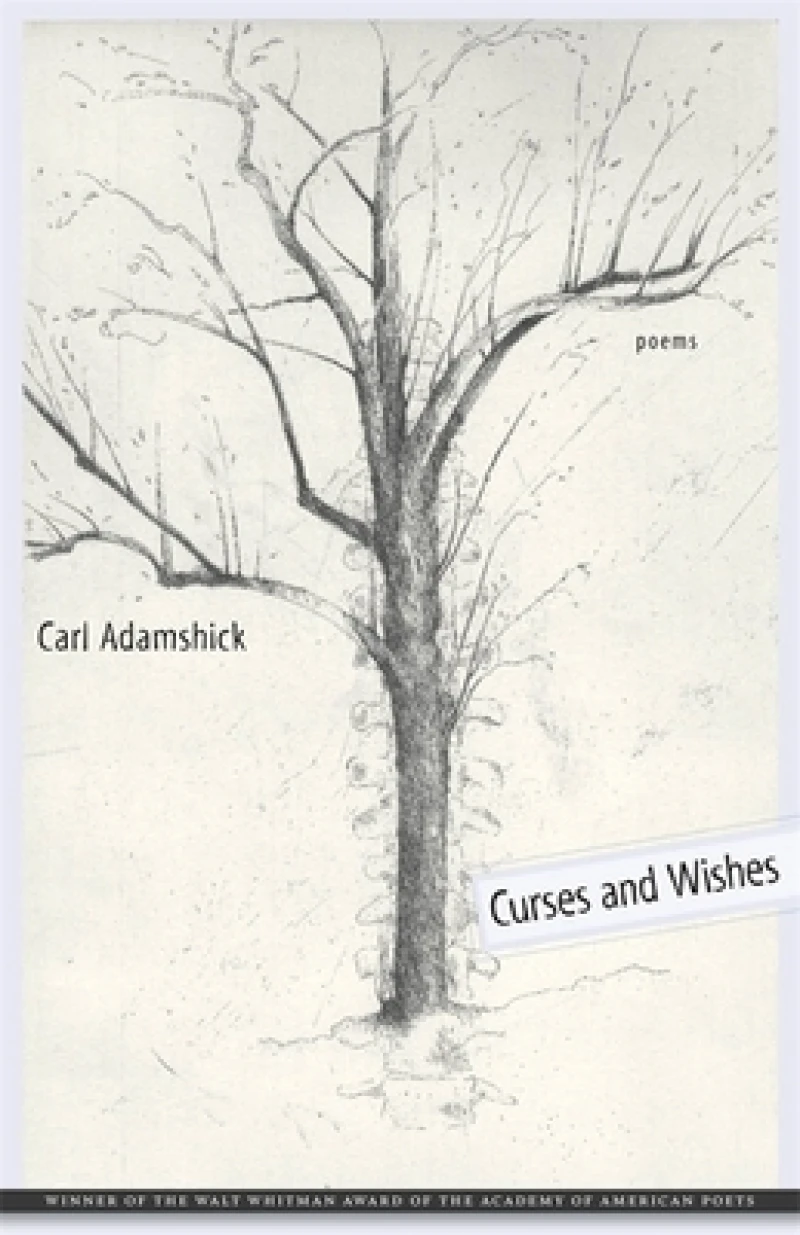 Curses and Wishes