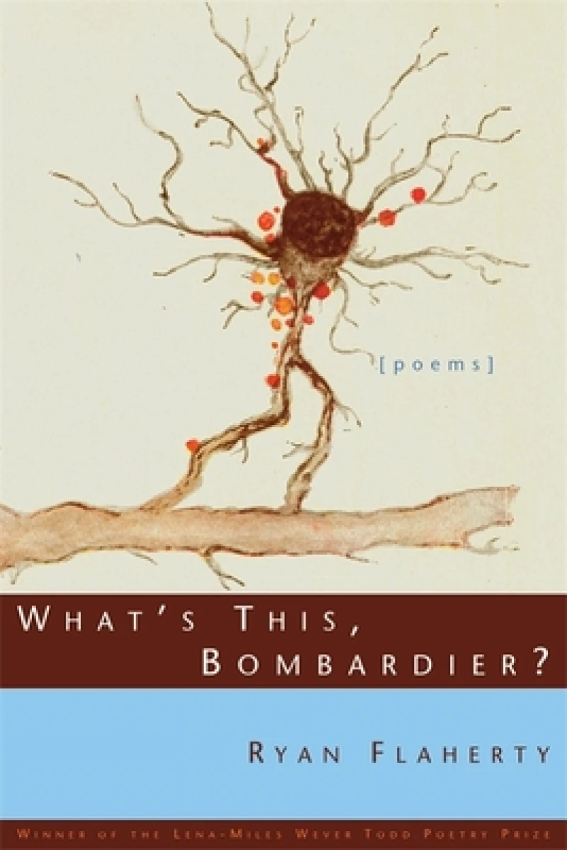 What''s This, Bombardier?