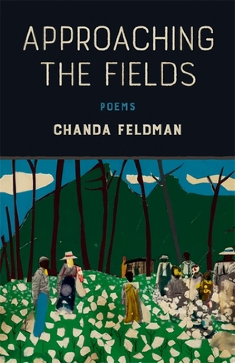 Approaching the Fields