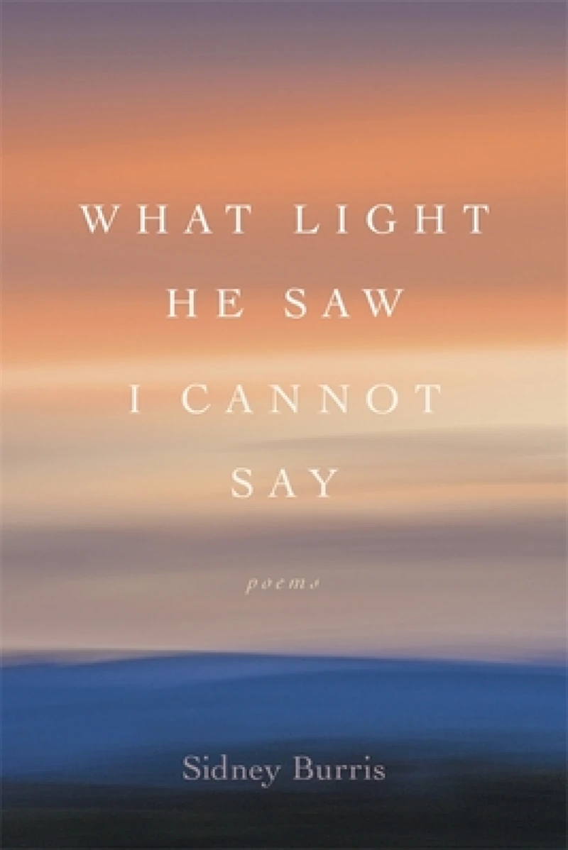 What Light He Saw I Cannot Say