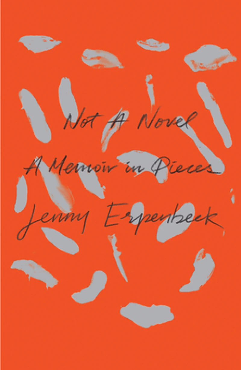 Not a Novel - A Memoir in Pieces