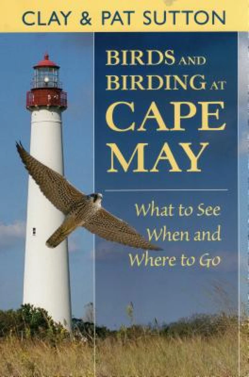 Birds and Birding at Cape May