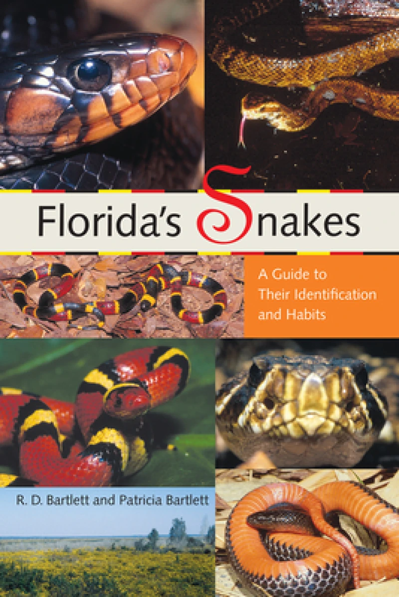 Florida''s Snakes