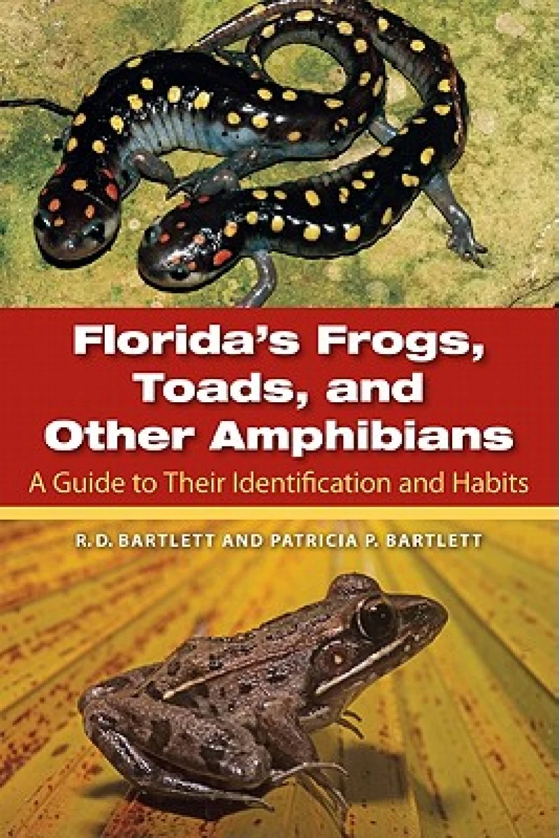 Florida''s Frogs, Toads, and Other Amphibians