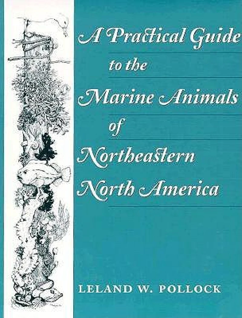 A Practical Guide to the Marine Animals of Northeastern North America