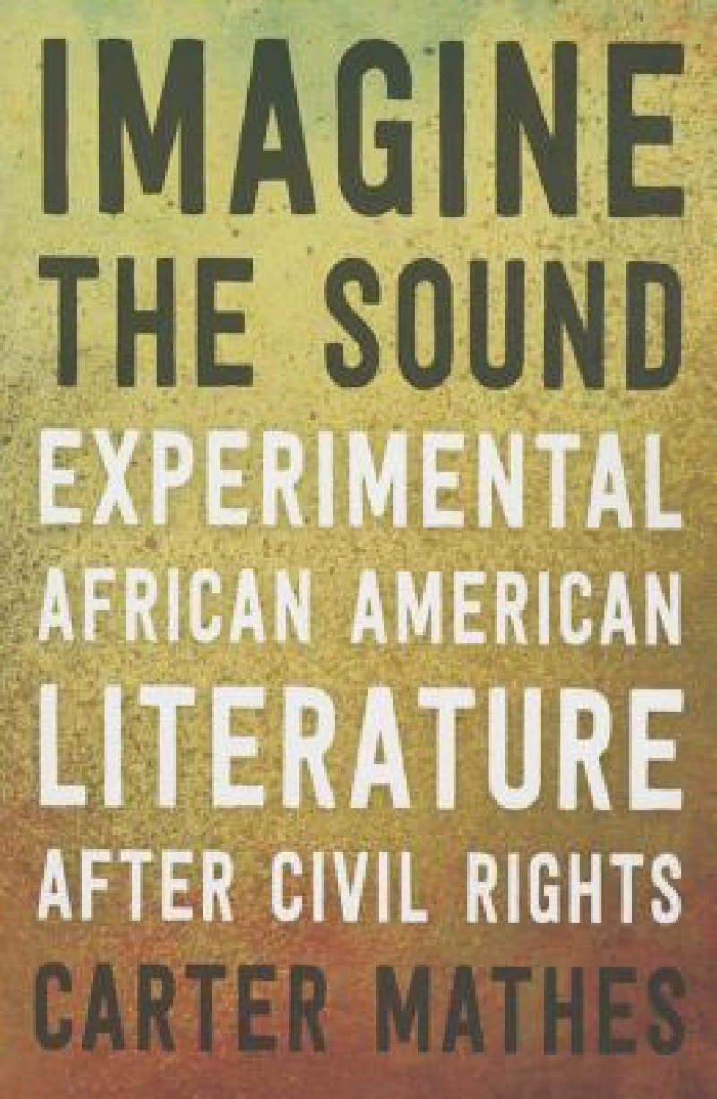 Imagine the Sound – Experimental African American Literature after Civil Rights