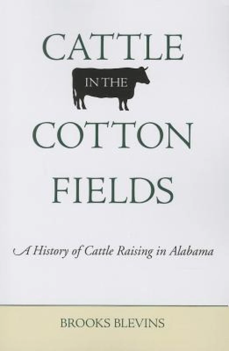 Cattle in the Cotton Fields