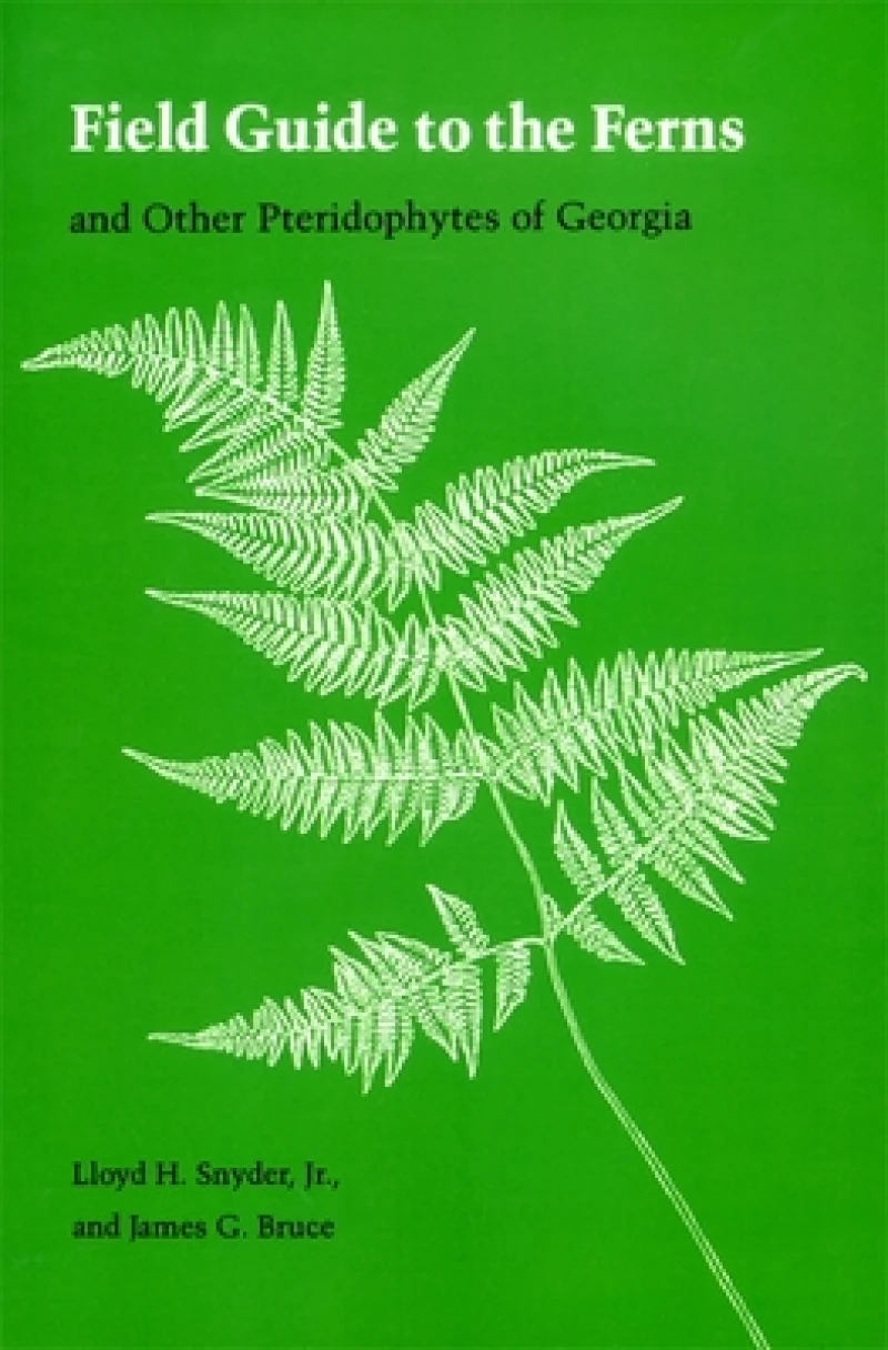 Field Guide to the Ferns