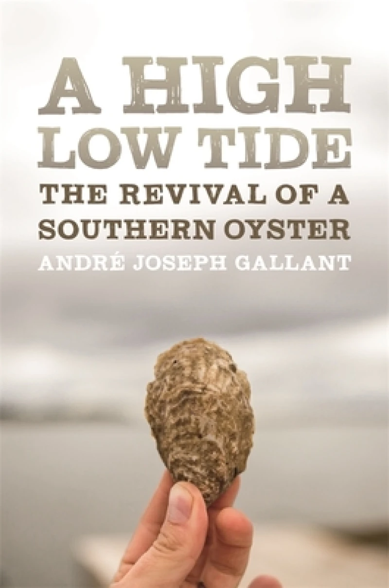 A High Low Tide