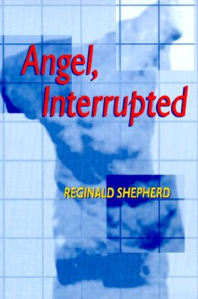 Angel, Interrupted