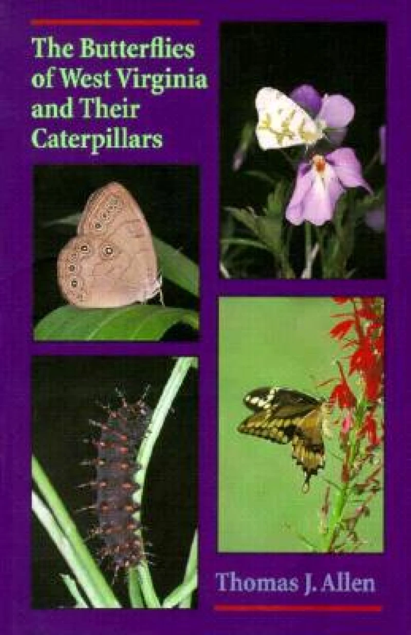 The Butterflies Of West Virginia and their Caterpillars