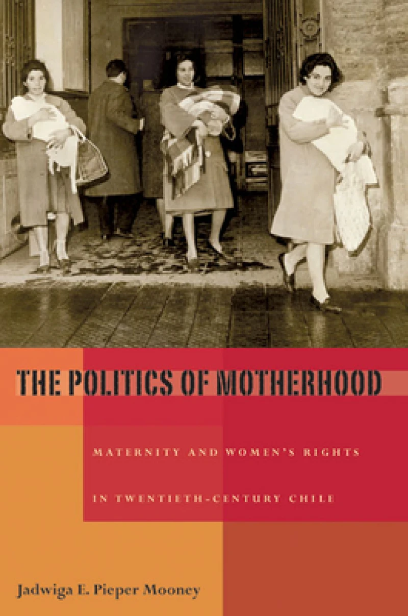 The Politics of Motherhood