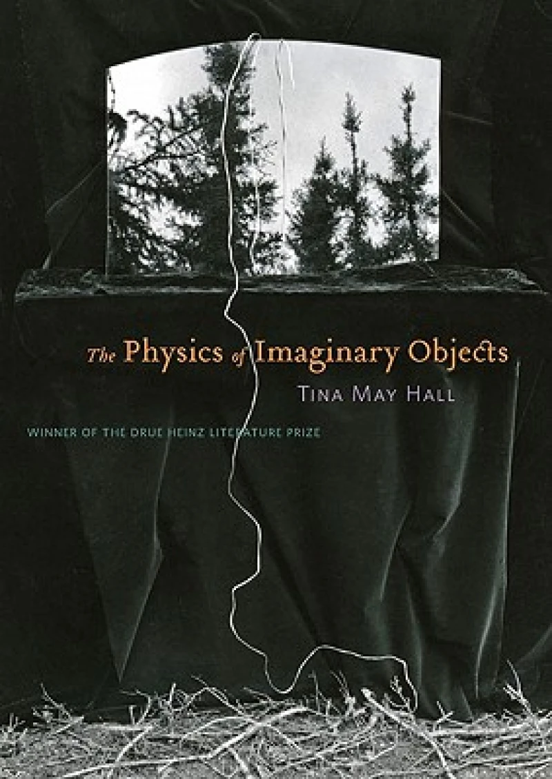 The Physics of Imaginary Objects