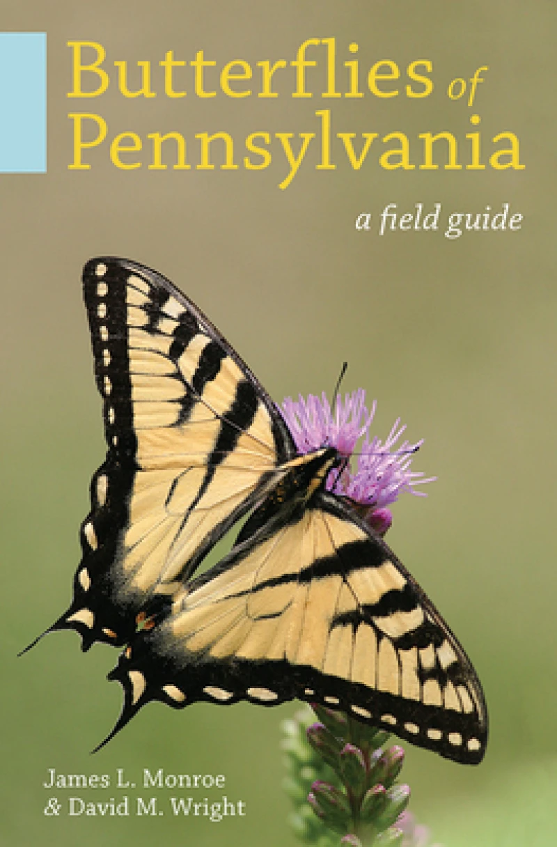 Butterflies of Pennsylvania