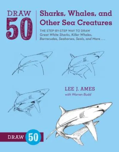 Draw 50 Sharks, Whales, and Other Sea Creatures