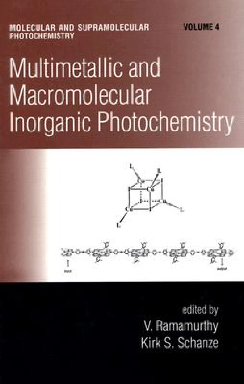 Multimetallic and Macromolecular Inorganic Photochemistry