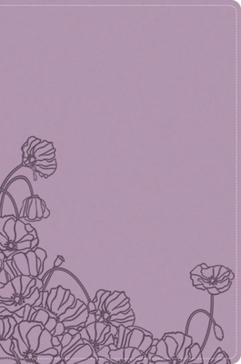 A Woman After God's Own Heart Bible