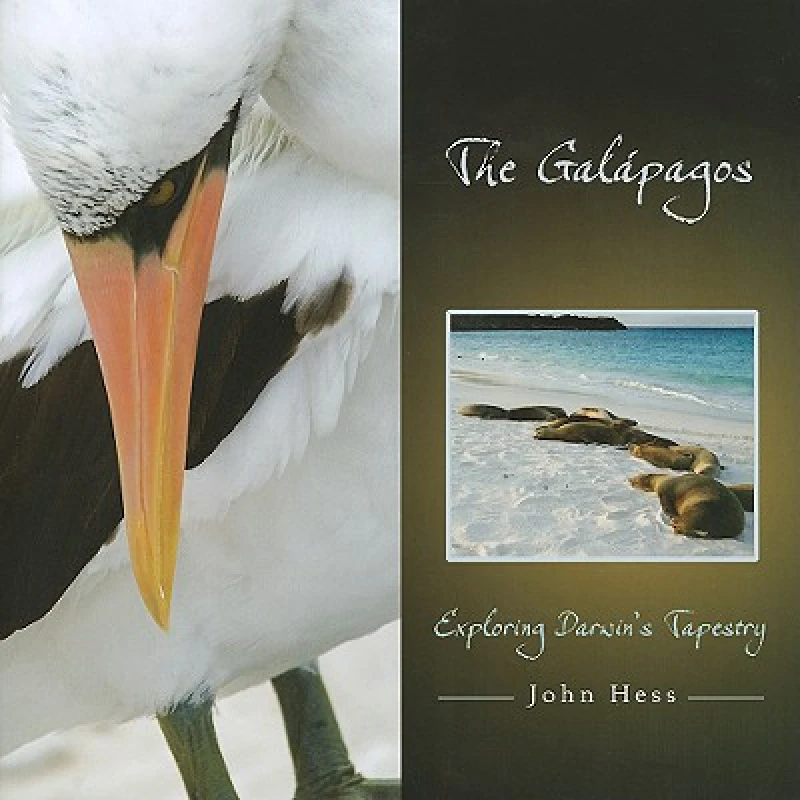 The Galapagos