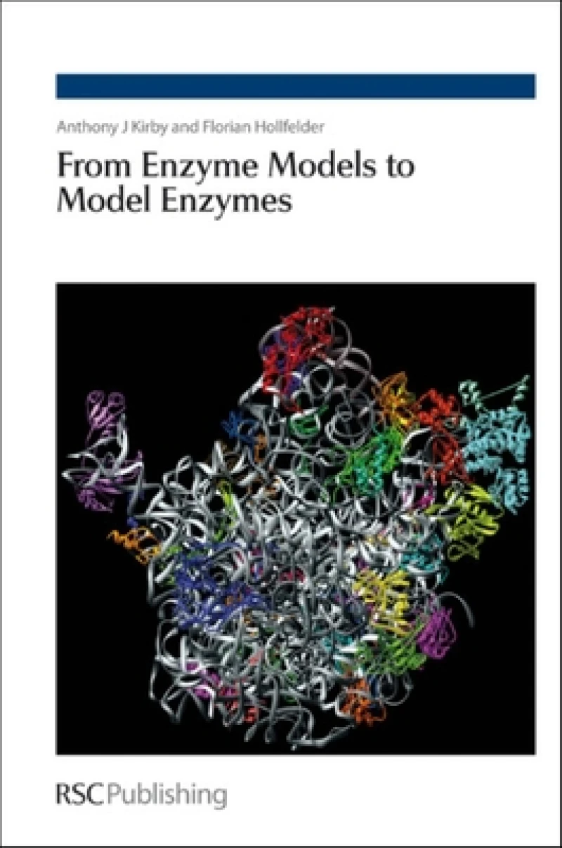 From Enzyme Models to Model Enzymes