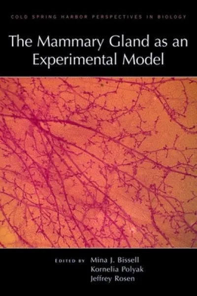 The Mammary Gland as an Experimental Model