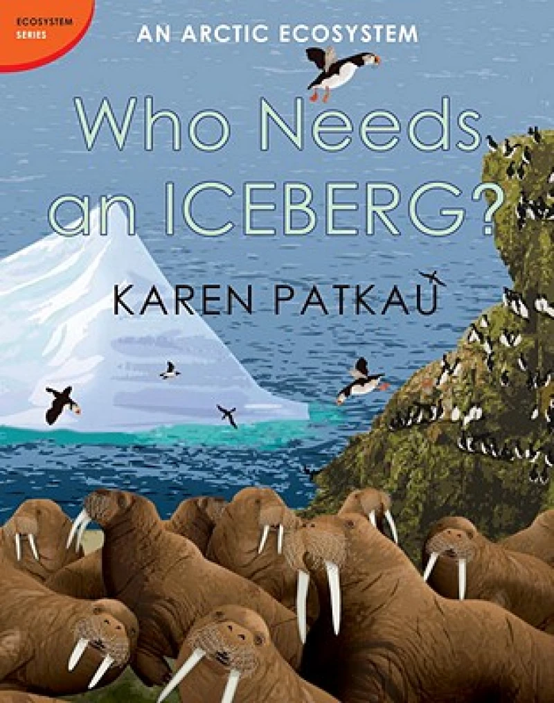 Who Needs an Iceberg?