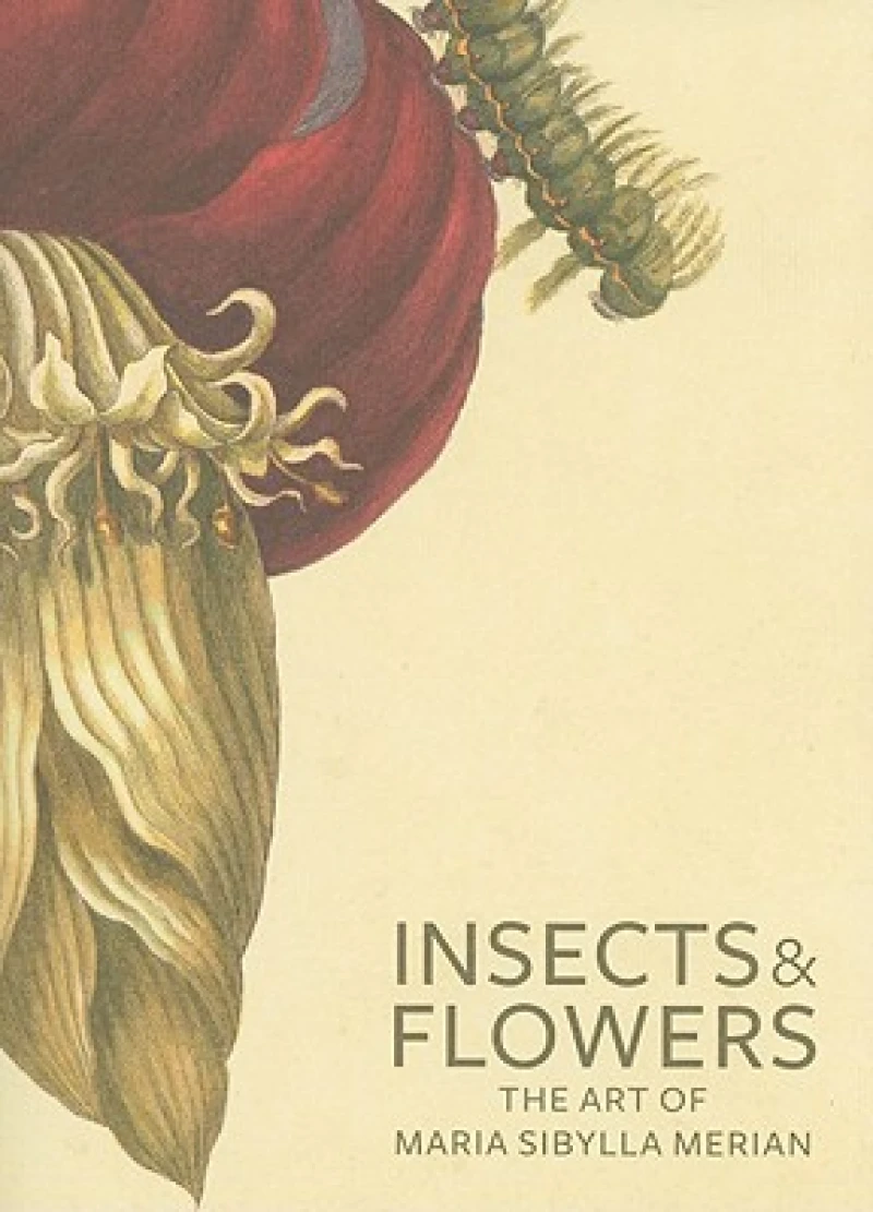 Insects and Flowers – The Art of Maria Sibylla Merian