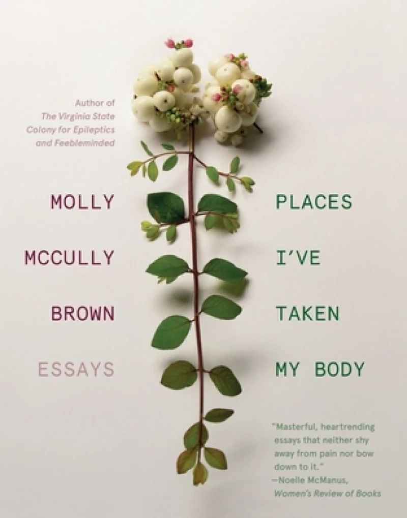Places I've Taken My Body - Essays
