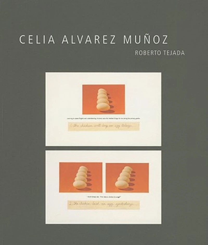 Celia Alvarez Muñoz