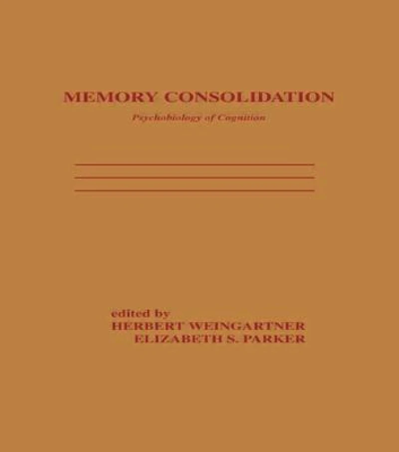 Memory Consolidation