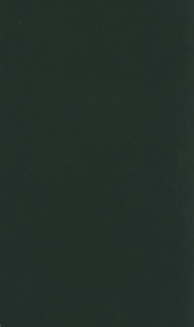 The Mathnawi of Jalalu'ddin Rumi, Vol 4, English Translation