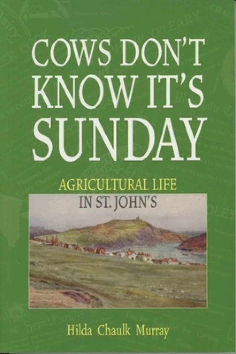 Cows Don''t Know It''s Sunday