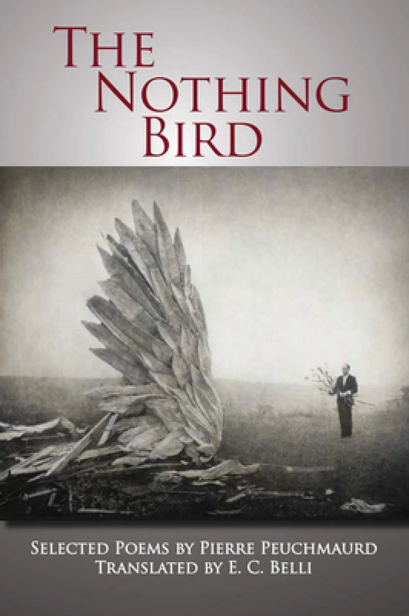 The Nothing Bird