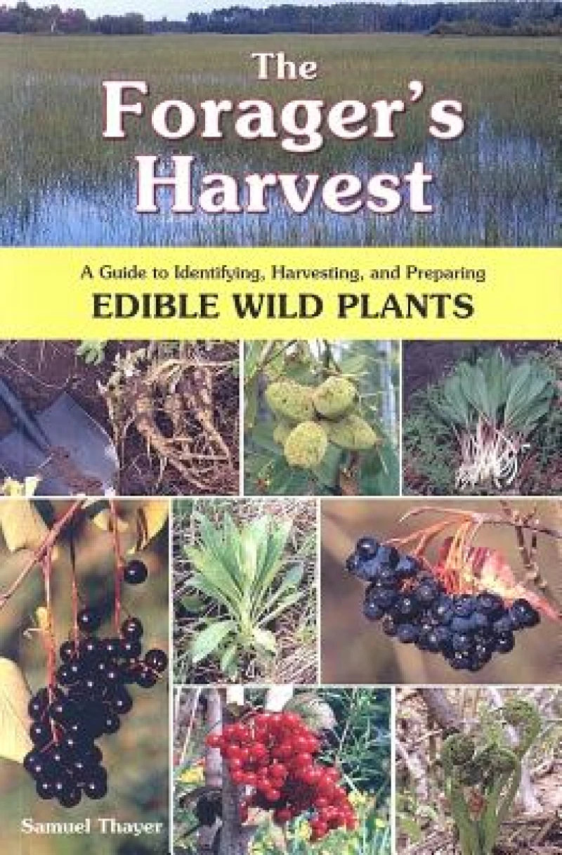 The Forager's Harvest
