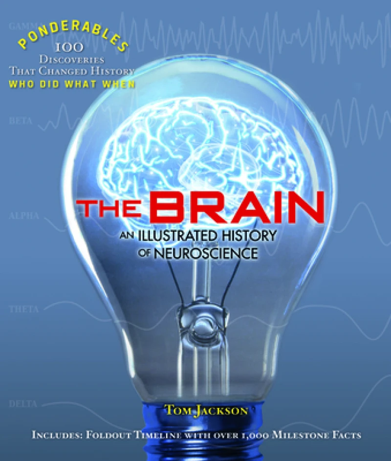 The Brain
