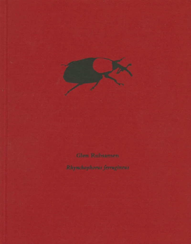 Glen Rubsamen - Rhynchophorus Ferrugineus