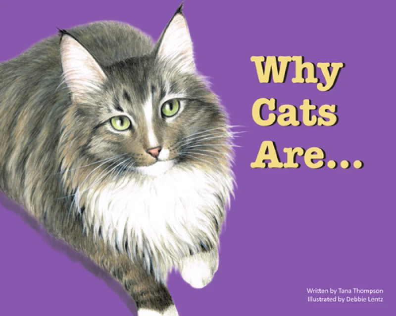 Why Cats Are