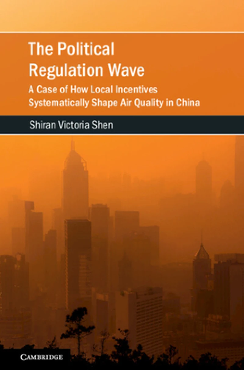 The Political Regulation Wave