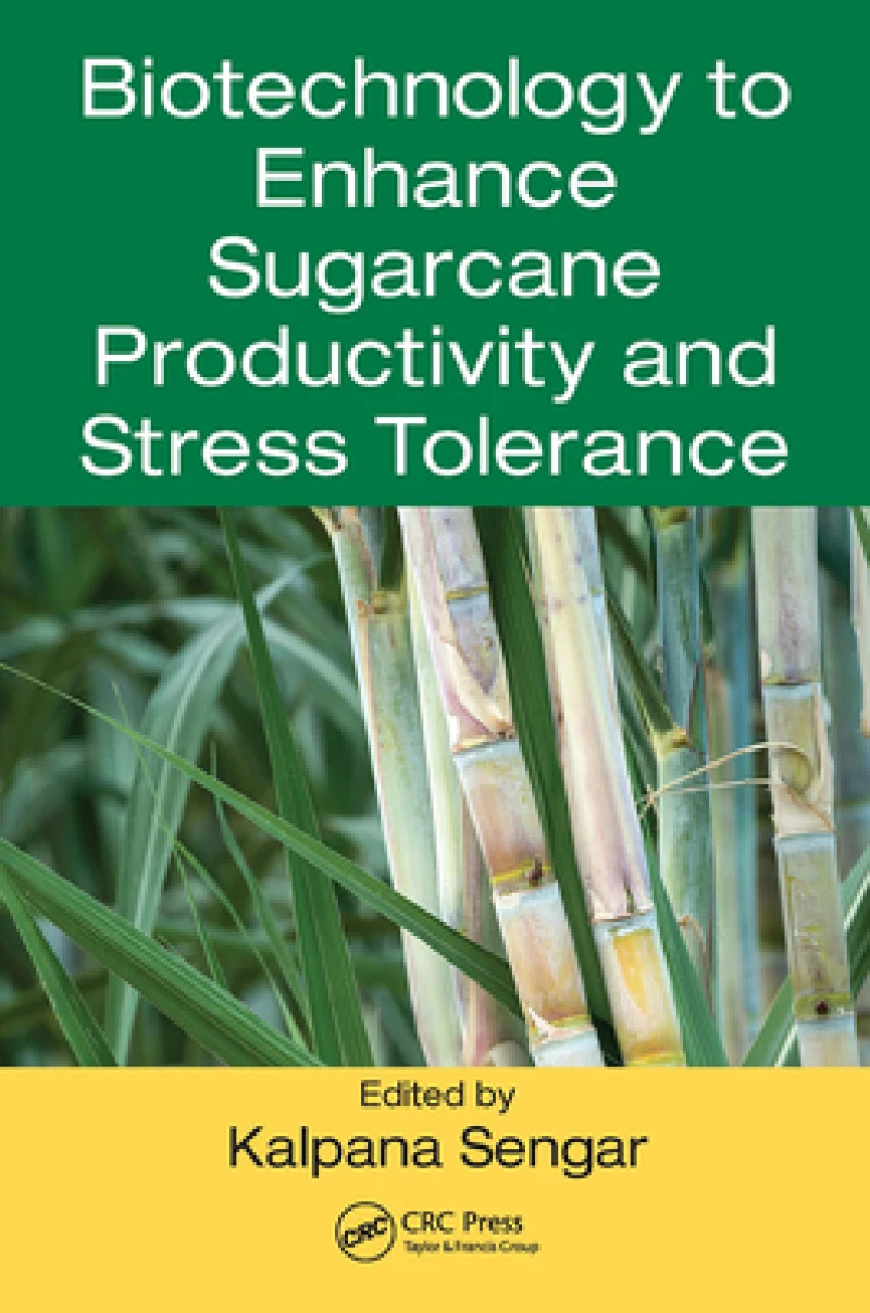 Biotechnology to Enhance Sugarcane Productivity and Stress Tolerance