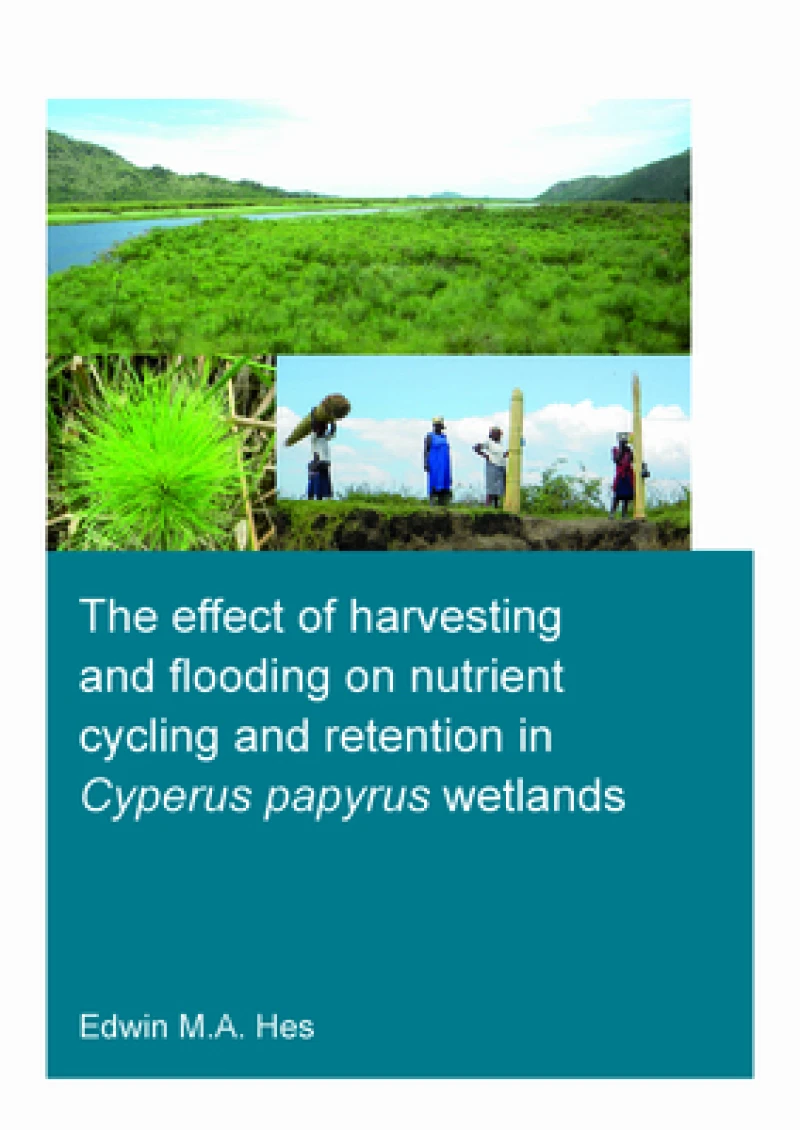 The effect of harvesting and flooding on nutrient cycling and retention in Cyperus papyrus wetlands
