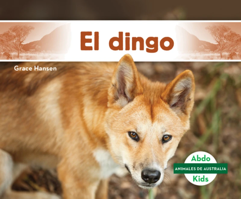 El dingo (Dingo)