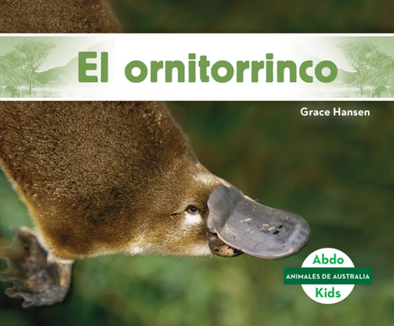 El ornitorrinco (Platypus )