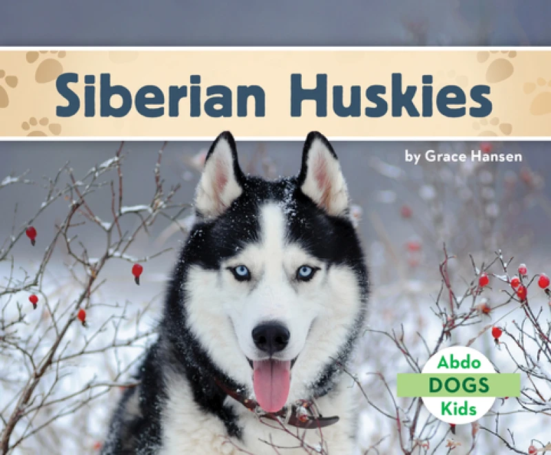 Siberian Huskies