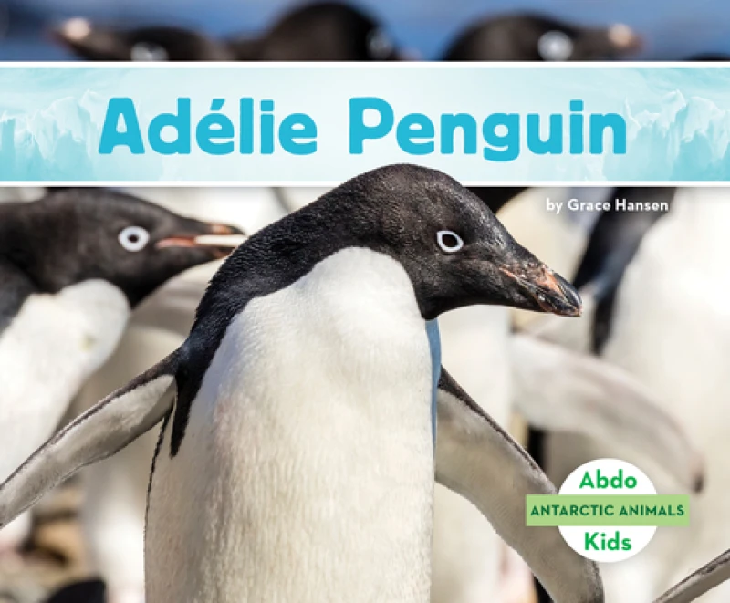 Adelie Penguin