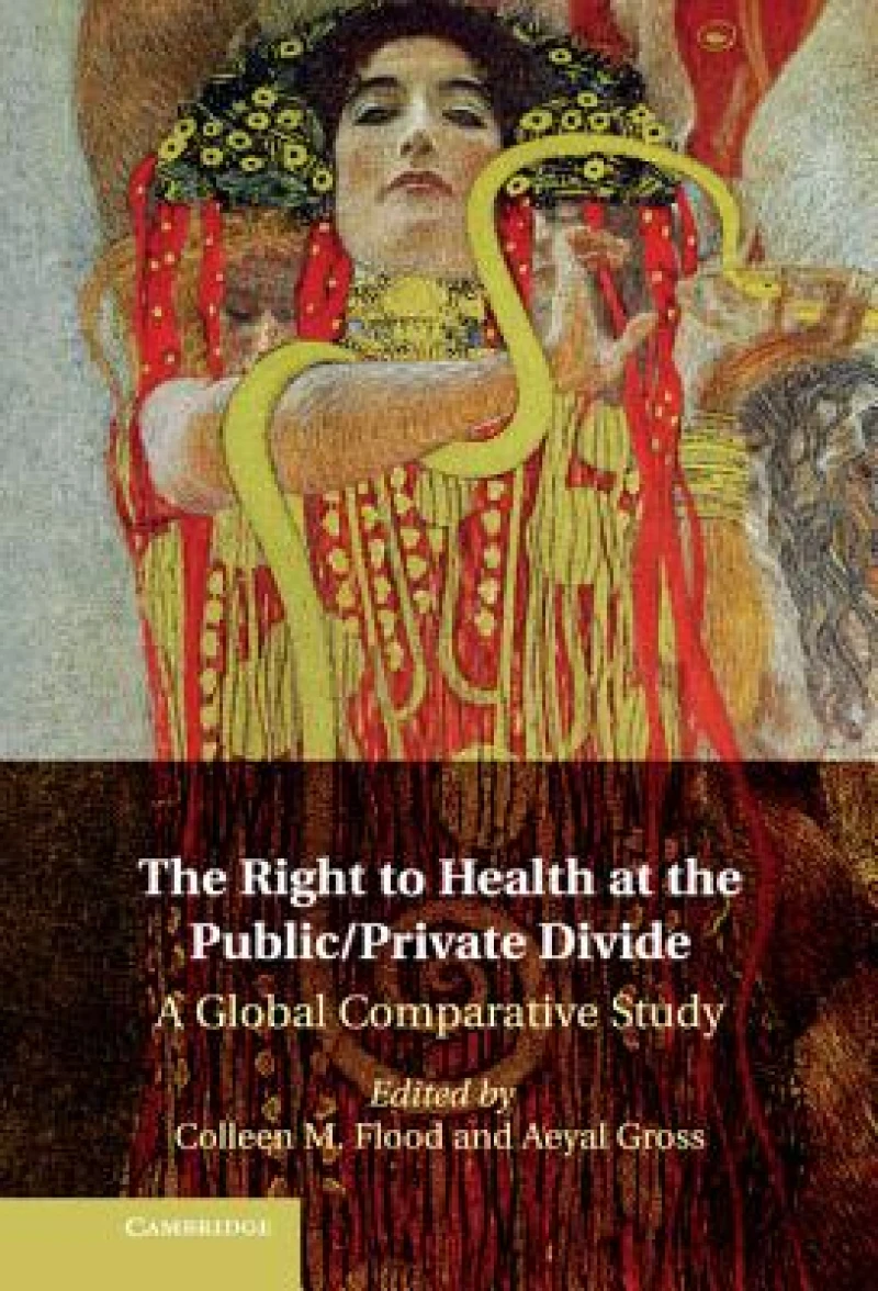 The Right to Health at the Public/Private Divide
