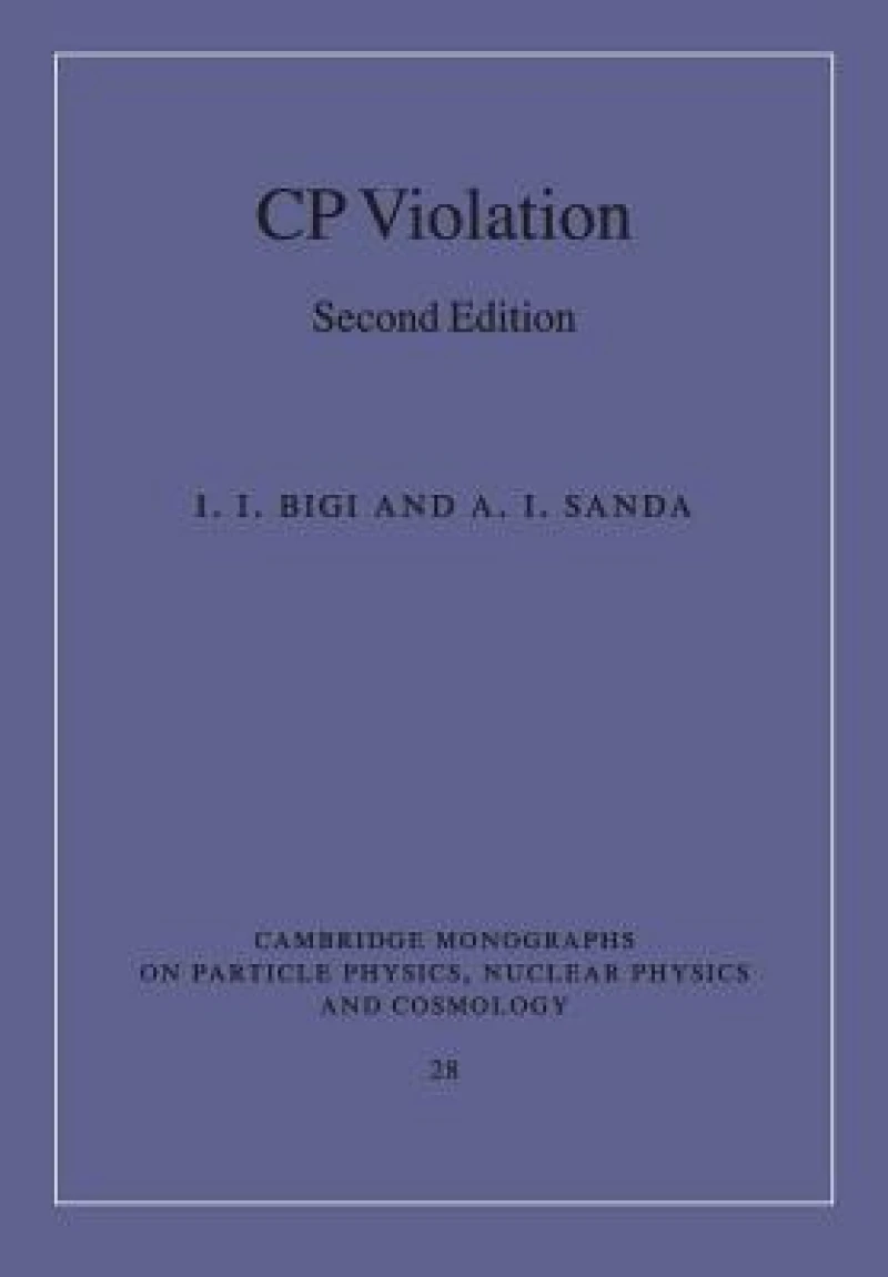 CP Violation