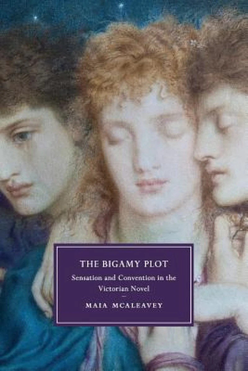 The Bigamy Plot